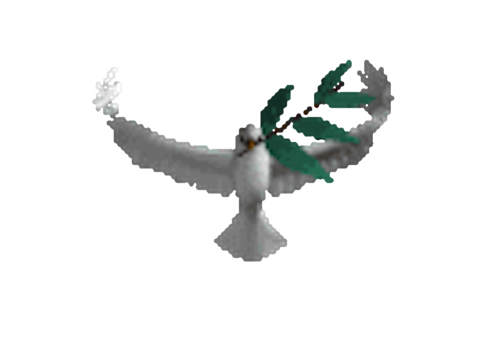 bird-music